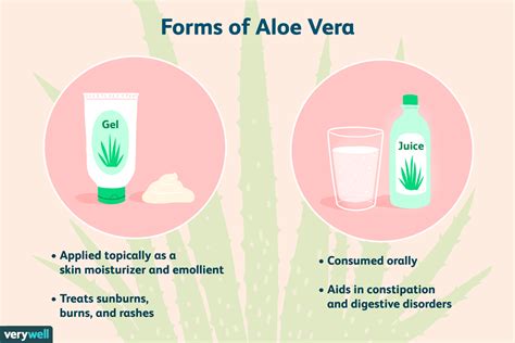 aloe as anal lube|Aloe Vera for Anus: Benefits, Risks, and How to Use Safely.